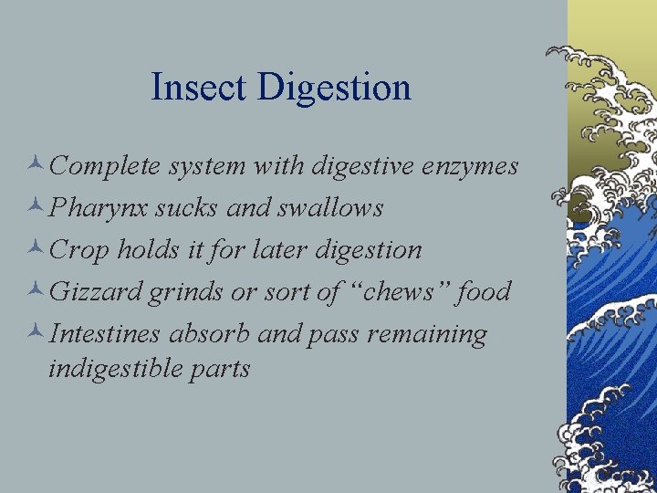Insect Digestion ©Complete system with digestive enzymes ©Pharynx sucks and swallows ©Crop holds it