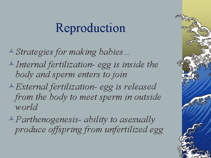 Reproduction ©Strategies for making babies… ©Internal fertilization- egg is inside the body and sperm