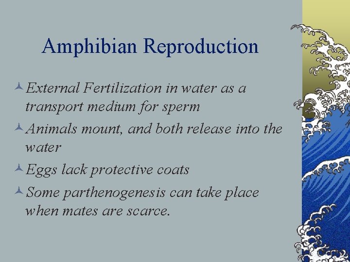 Amphibian Reproduction ©External Fertilization in water as a transport medium for sperm ©Animals mount,