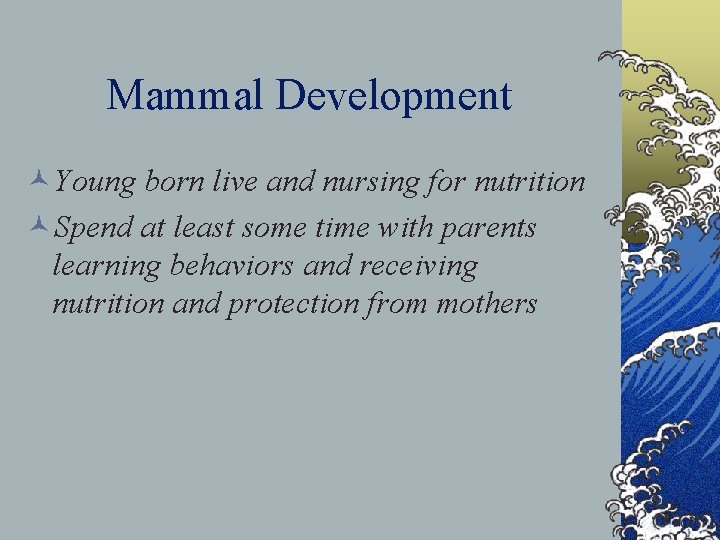 Mammal Development ©Young born live and nursing for nutrition ©Spend at least some time