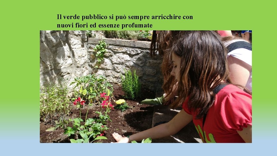 Il verde pubblico si può sempre arricchire con nuovi fiori ed essenze profumate Il verde pubblico si può sempre arricchire con nuovi fiori ed essenze profumate