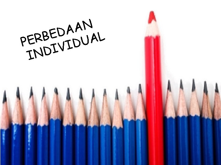 N A A D E B L R A E U P D I