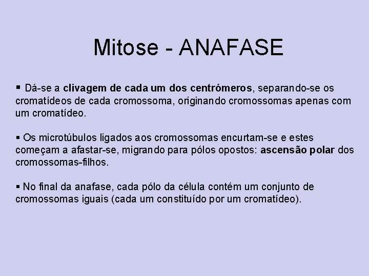 Mitose - ANAFASE § Dá-se a clivagem de cada um dos centrómeros, separando-se os