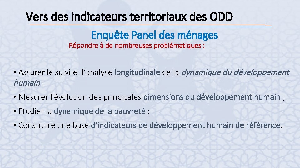 Vers des indicateurs territoriaux des ODD Enquête Panel des ménages Répondre à de nombreuses