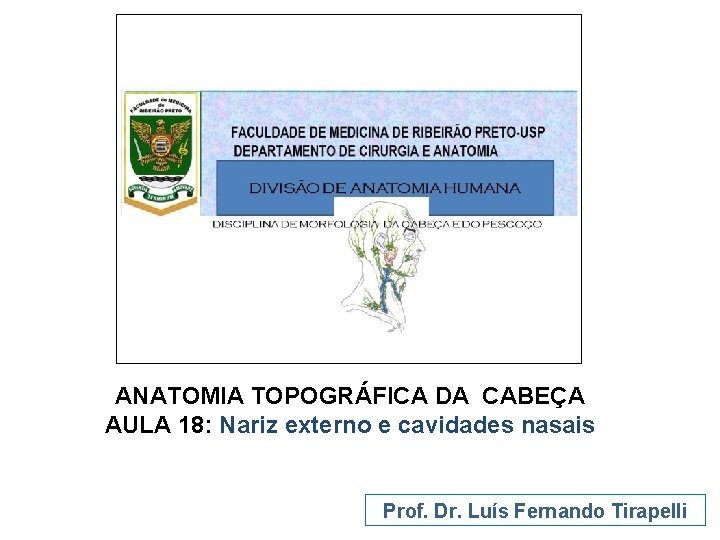 ANATOMIA TOPOGRÁFICA DA CABEÇA AULA 18: Nariz externo e cavidades nasais Prof. Dr. Luís