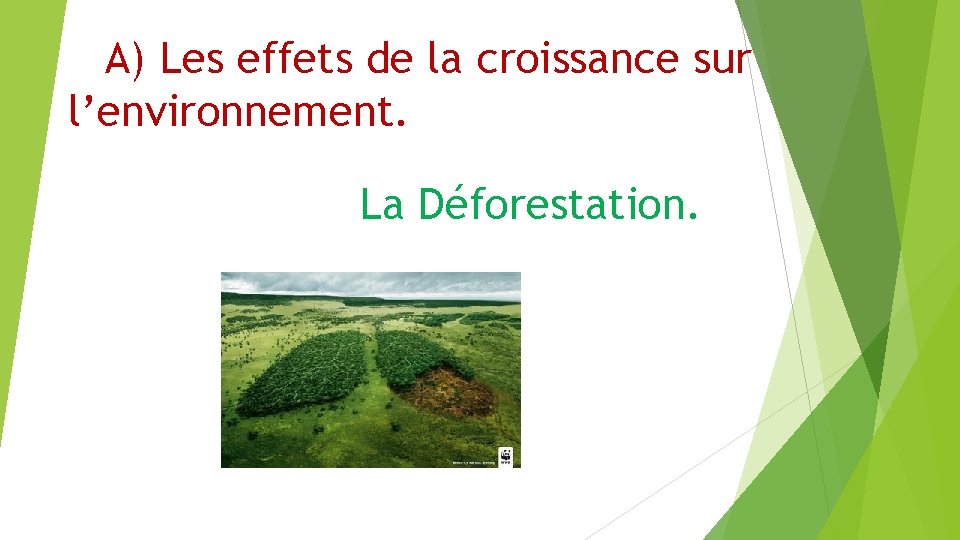 A) Les effets de la croissance sur l’environnement. La Déforestation. A) Les effets de la croissance sur l’environnement. La Déforestation.