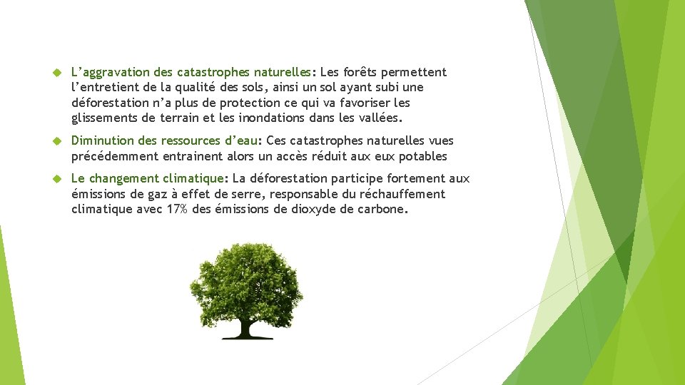 L’aggravation des catastrophes naturelles: Les forêts permettent l’entretient de la qualité des sols, L’aggravation des catastrophes naturelles: Les forêts permettent l’entretient de la qualité des sols,