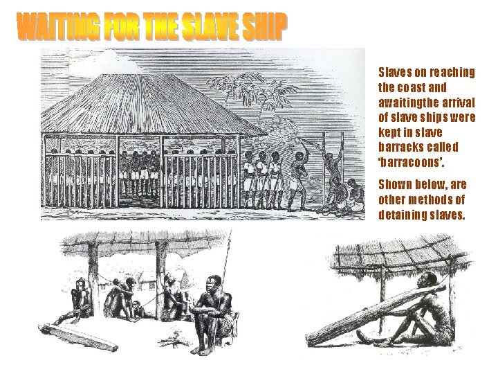 Slaves on reaching the coast and awaitingthe arrival of slave ships were kept in
