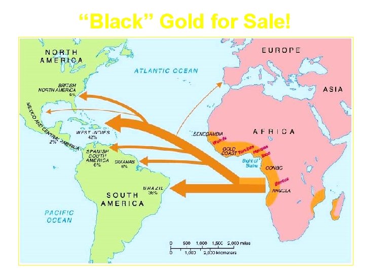 “Black” Gold for Sale! 