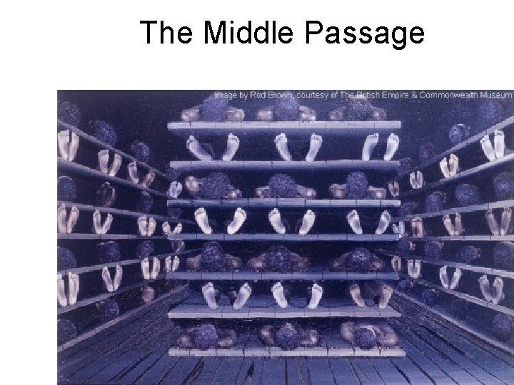The Middle Passage 