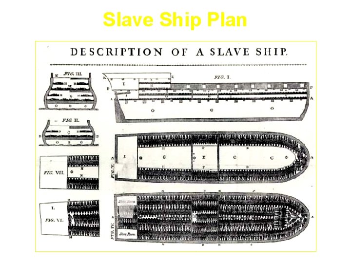 Slave Ship Plan 