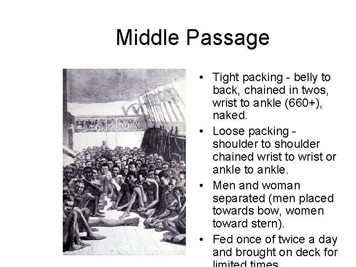 Middle Passage • Tight packing - belly to back, chained in twos, wrist to