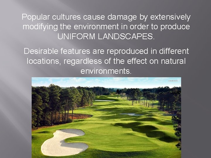 Popular cultures cause damage by extensively modifying the environment in order to produce UNIFORM