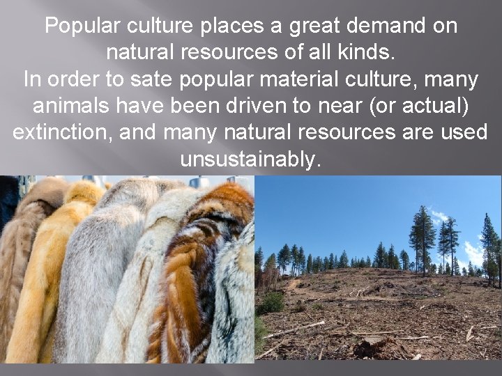 Popular culture places a great demand on natural resources of all kinds. In order