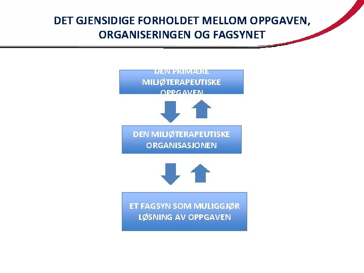 DET GJENSIDIGE FORHOLDET MELLOM OPPGAVEN, ORGANISERINGEN OG FAGSYNET DEN PRIMÆRE MILJØTERAPEUTISKE OPPGAVEN DEN MILJØTERAPEUTISKE