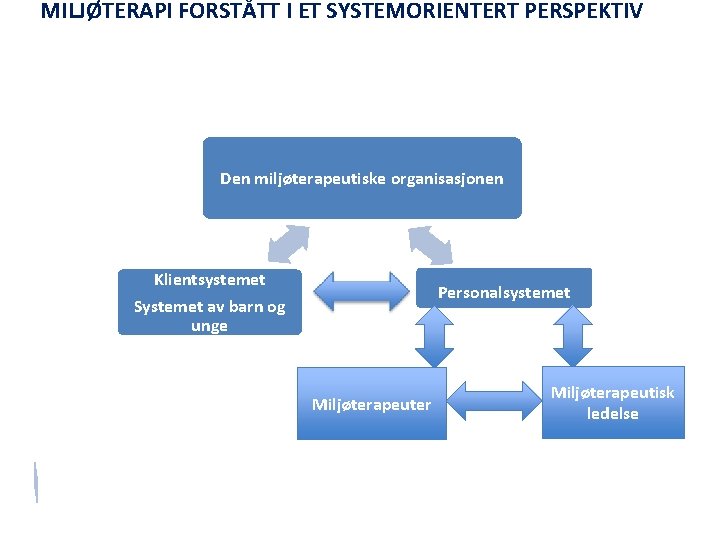 MILJØTERAPI FORSTÅTT I ET SYSTEMORIENTERT PERSPEKTIV Den miljøterapeutiske organisasjonen Klientsystemet Systemet av barn og