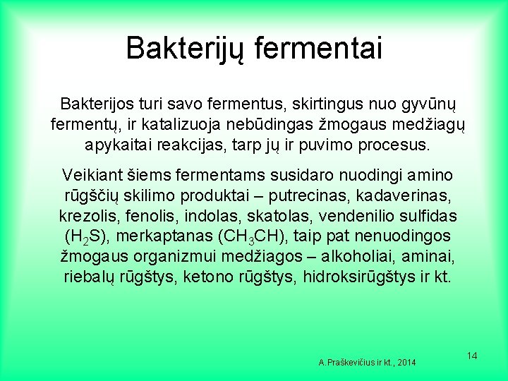 Bakterijų fermentai Bakterijos turi savo fermentus, skirtingus nuo gyvūnų fermentų, ir katalizuoja nebūdingas žmogaus