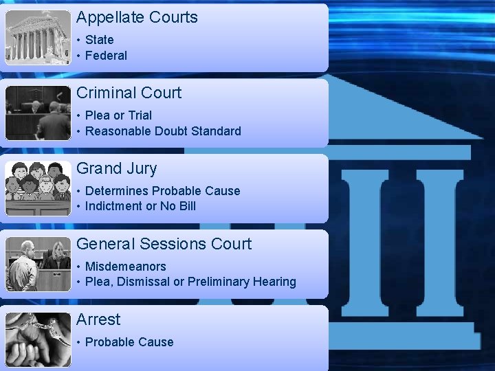 Appellate Courts • State • Federal Criminal Court • Plea or Trial • Reasonable