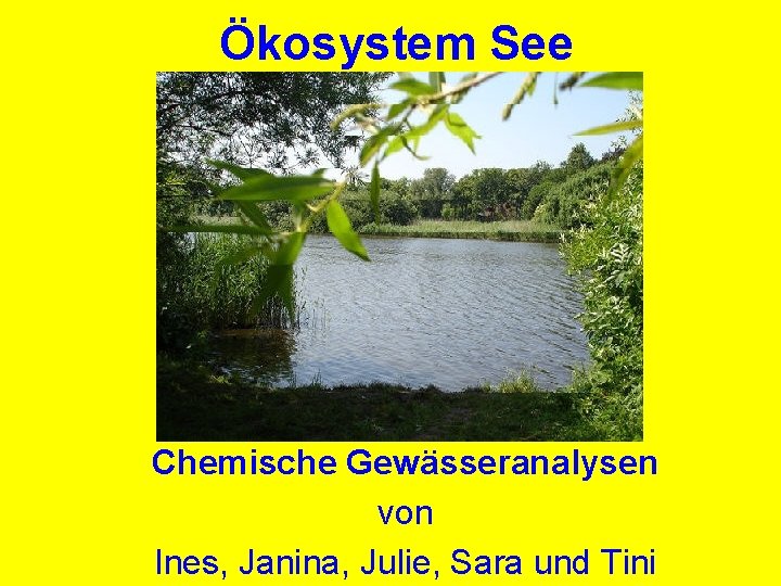 Ökosystem See Chemische Gewässeranalysen von Ines, Janina, Julie, Sara und Tini 