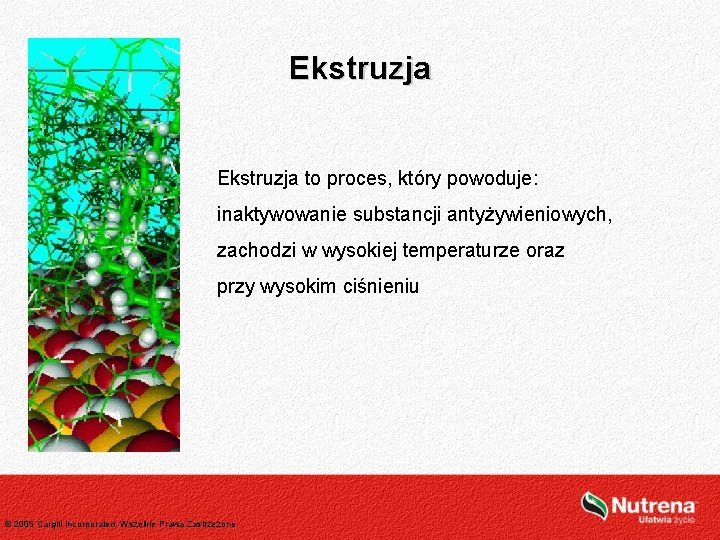 Ekstruzja to proces, który powoduje: inaktywowanie substancji antyżywieniowych, zachodzi w wysokiej temperaturze oraz przy