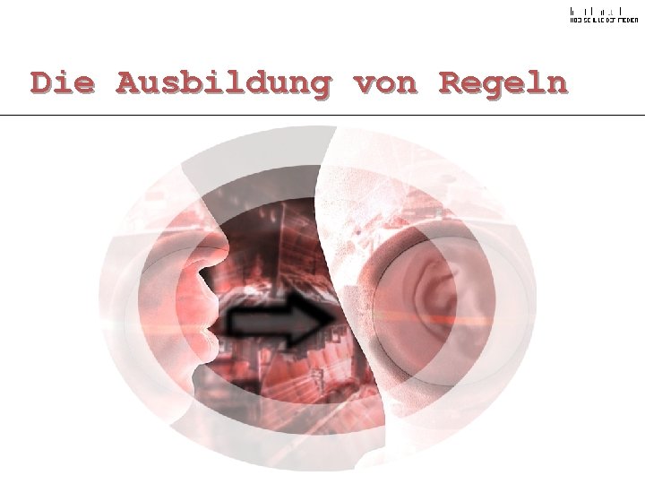 Die Ausbildung von Regeln 