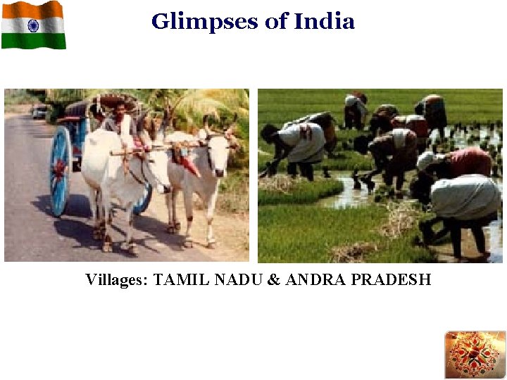 Glimpses of India Villages: TAMIL NADU & ANDRA PRADESH 