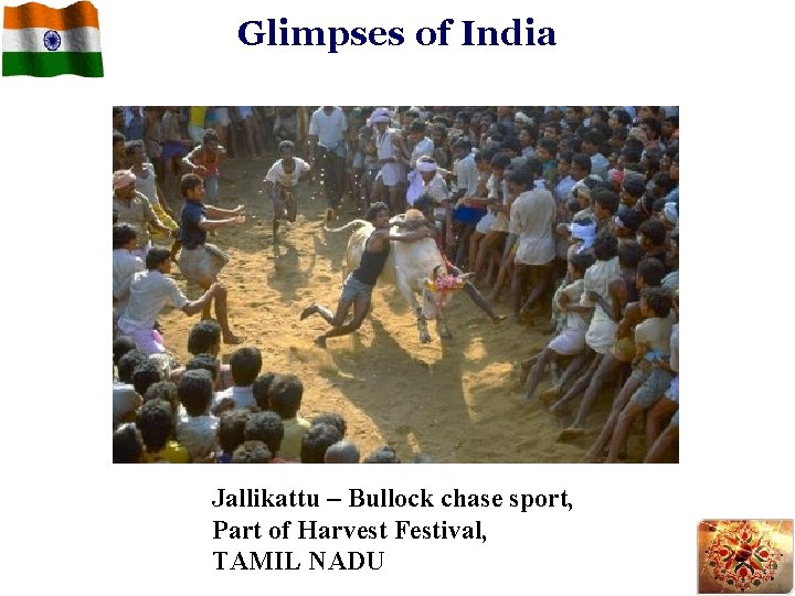 Glimpses of India Jallikattu – Bullock chase sport, Part of Harvest Festival, TAMIL NADU