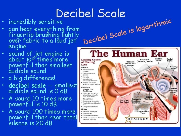 Decibel Scale • incredibly sensitive c i m h t i r a g