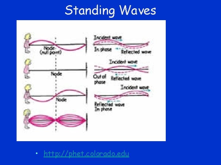 Standing Waves • http: //phet. colorado. edu 