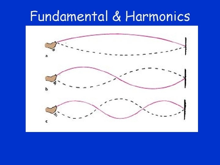 Fundamental & Harmonics 