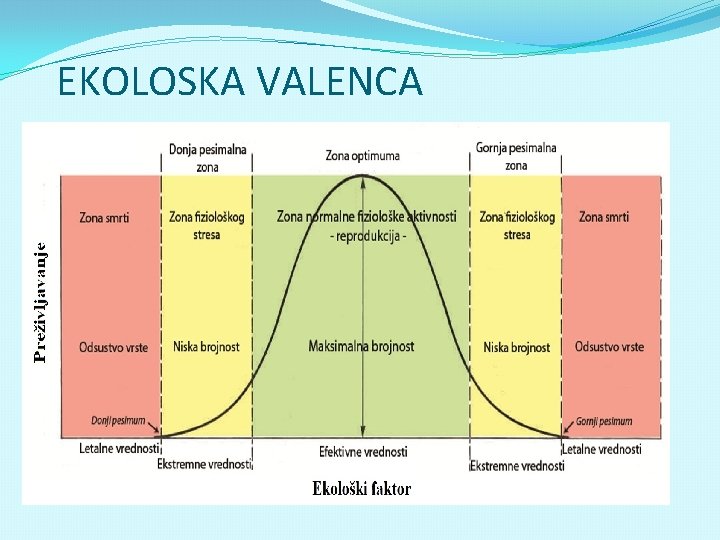 EKOLOSKA VALENCA 