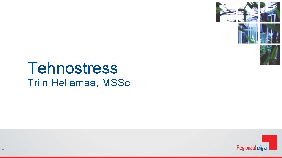Tehnostress Triin Hellamaa, MSSc 1 