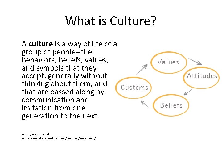 What is Culture? A culture is a way of life of a group of