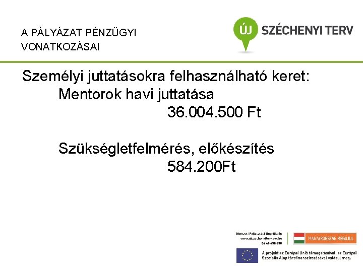 A PÁLYÁZAT PÉNZÜGYI VONATKOZÁSAI Személyi juttatásokra felhasználható keret: Mentorok havi juttatása 36. 004. 500