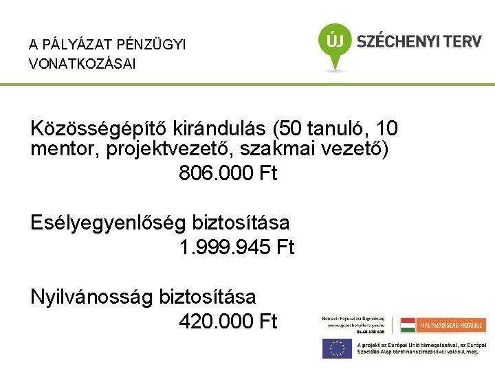 A PÁLYÁZAT PÉNZÜGYI VONATKOZÁSAI Közösségépítő kirándulás (50 tanuló, 10 mentor, projektvezető, szakmai vezető) 806.