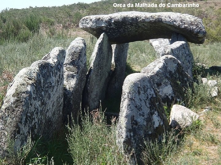 . Orca da Malhada do Cambarinho Michela Zucca Servizi culturali 