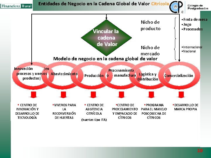 Entidades de Negocio en la Cadena Global de Valor Citrícola Vincular la cadena de Entidades de Negocio en la Cadena Global de Valor Citrícola Vincular la cadena de