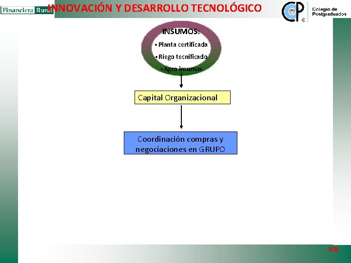 INNOVACIÓN Y DESARROLLO TECNOLÓGICO INSUMOS: • Planta certificada • Riego tecnificado • Agro insumos INNOVACIÓN Y DESARROLLO TECNOLÓGICO INSUMOS: • Planta certificada • Riego tecnificado • Agro insumos