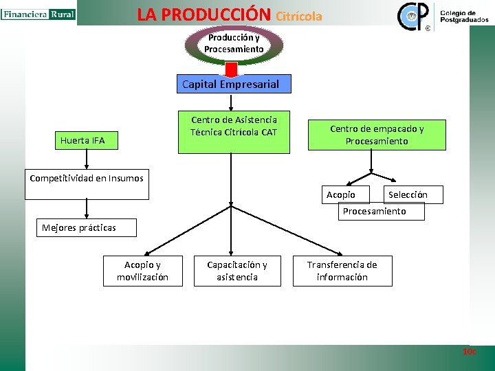 LA PRODUCCIÓN Citrícola Producción y Procesamiento Capital Empresarial Centro de Asistencia Técnica Citrícola CAT LA PRODUCCIÓN Citrícola Producción y Procesamiento Capital Empresarial Centro de Asistencia Técnica Citrícola CAT