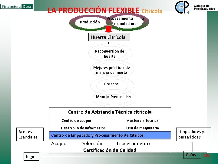 LA PRODUCCIÓN FLEXIBLE Citrícola Procesamiento manufactura Producción o Huerta Citrícola Reconversión de huerta Mejores LA PRODUCCIÓN FLEXIBLE Citrícola Procesamiento manufactura Producción o Huerta Citrícola Reconversión de huerta Mejores