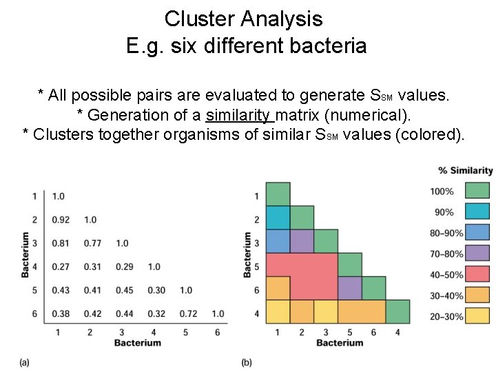 Cluster Analysis E. g. six different bacteria * All possible pairs are evaluated to