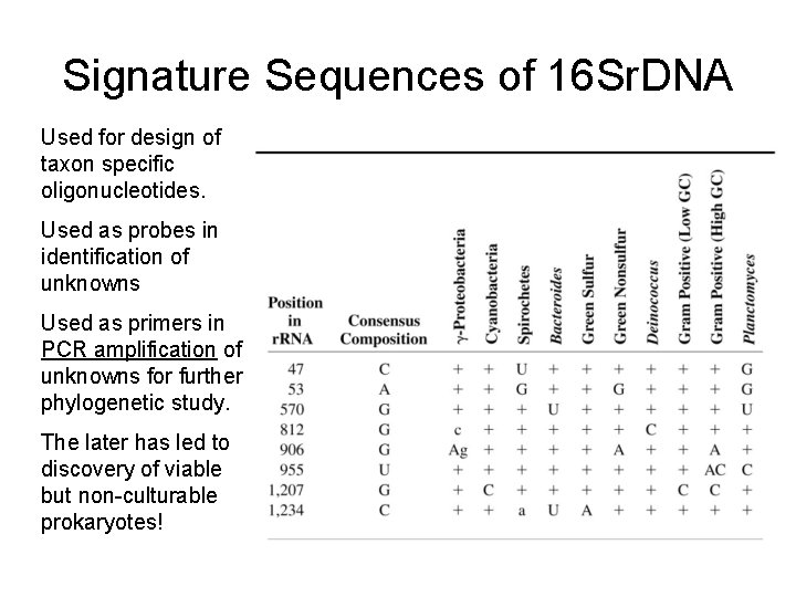 Signature Sequences of 16 Sr. DNA Used for design of taxon specific oligonucleotides. Used
