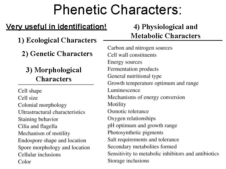 Phenetic Characters: Very useful in identification! 1) Ecological Characters 2) Genetic Characters 3) Morphological