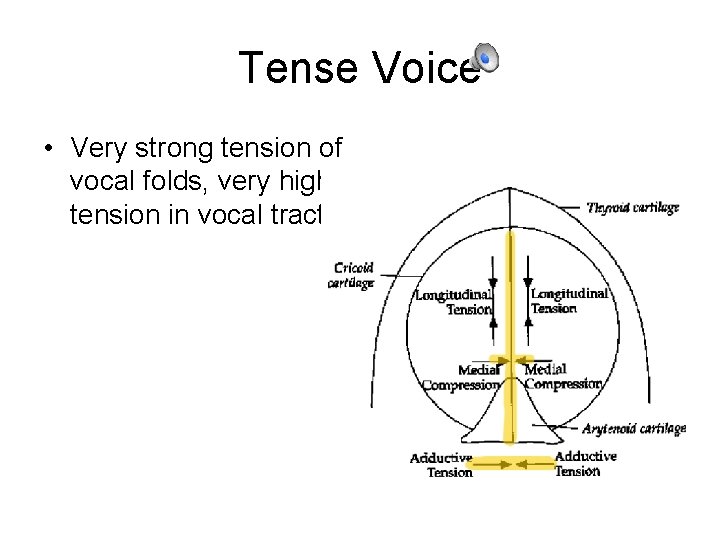 Tense Voice • Very strong tension of vocal folds, very high tension in vocal