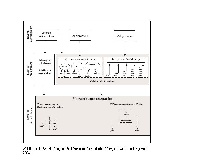 Abbildung 1: Entwicklungsmodell früher mathematischer Kompetenzen (aus Krajewski, 2008) 