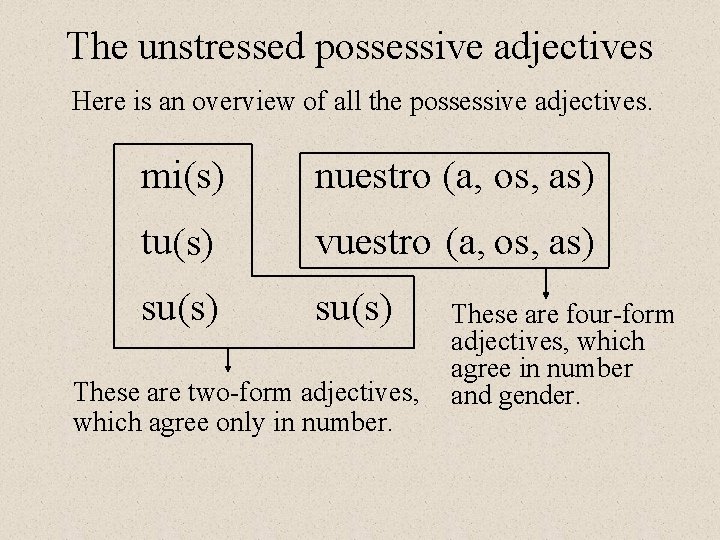 The unstressed possessive adjectives Here is an overview of all the possessive adjectives. mi(s)