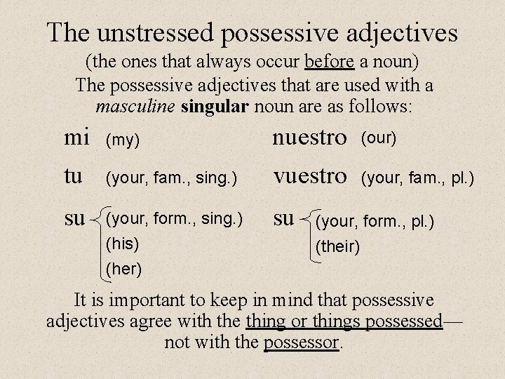 The unstressed possessive adjectives (the ones that always occur before a noun) The possessive