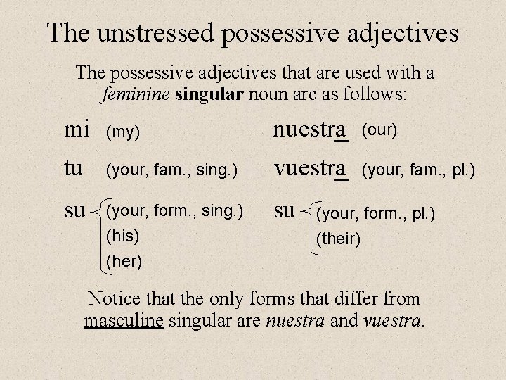 The unstressed possessive adjectives The possessive adjectives that are used with a feminine singular
