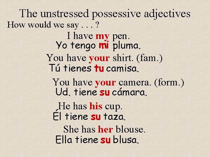 The unstressed possessive adjectives How would we say. . . ? I have my