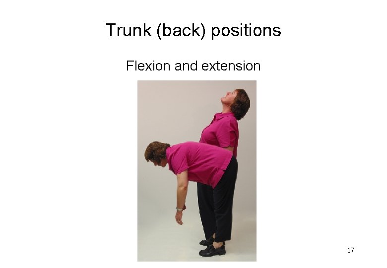 Trunk (back) positions Flexion and extension 17 